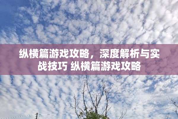 纵横篇游戏攻略，深度解析与实战技巧 纵横篇游戏攻略