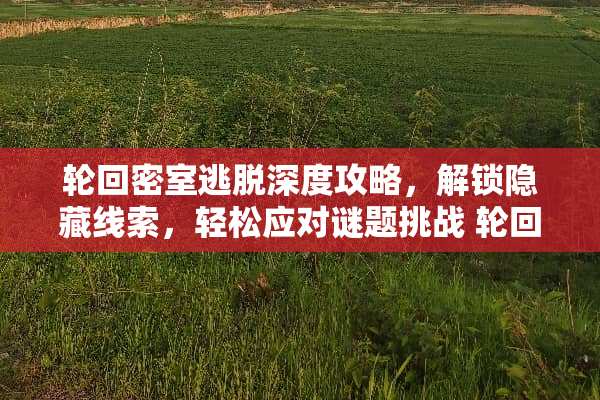 轮回密室逃脱深度攻略，解锁隐藏线索，轻松应对谜题挑战 轮回密室逃脱攻略
