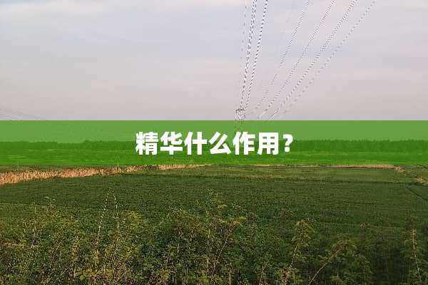 精华什么作用？