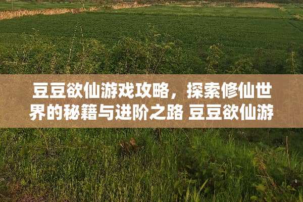 豆豆欲仙游戏攻略，探索修仙世界的秘籍与进阶之路 豆豆欲仙游戏攻略