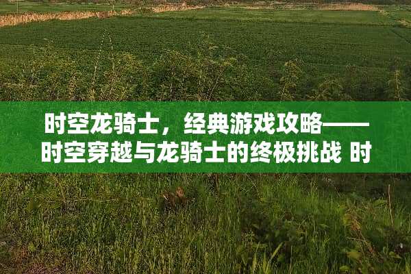 时空龙骑士，经典游戏攻略——时空穿越与龙骑士的终极挑战 时空龙骑士经典游戏攻略