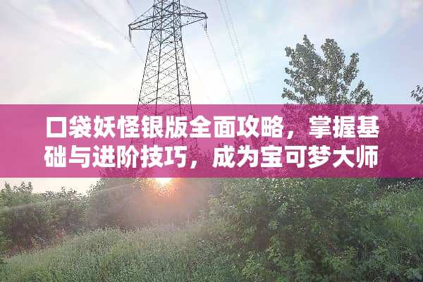 口袋妖怪银版全面攻略，掌握基础与进阶技巧，成为宝可梦大师 口袋妖怪银版攻略