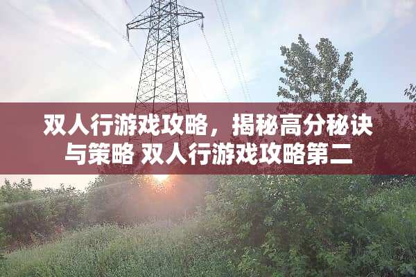 双人行游戏攻略，揭秘高分秘诀与策略 双人行游戏攻略第二