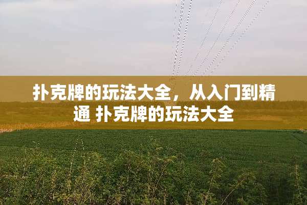 **牌的玩法大全，从入门到精通 **牌的玩法大全