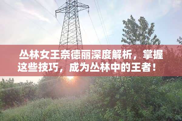 丛林女王奈德丽深度解析，掌握这些技巧，成为丛林中的王者！ 丛林女王奈德丽玩法