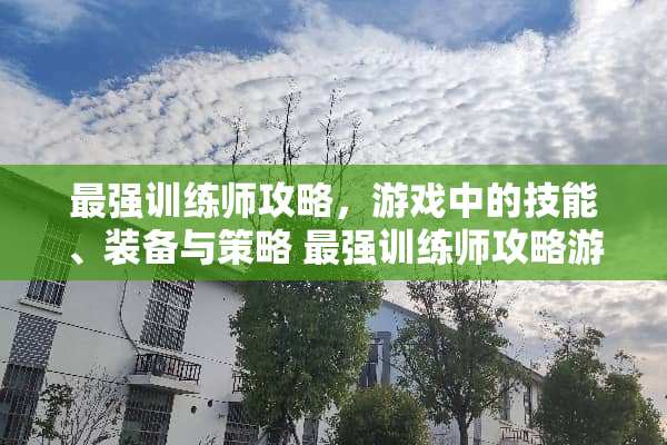 最强训练师攻略，游戏中的技能、装备与策略 最强训练师攻略游戏