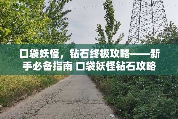 口袋妖怪，钻石终极攻略——新手必备指南 口袋妖怪钻石攻略