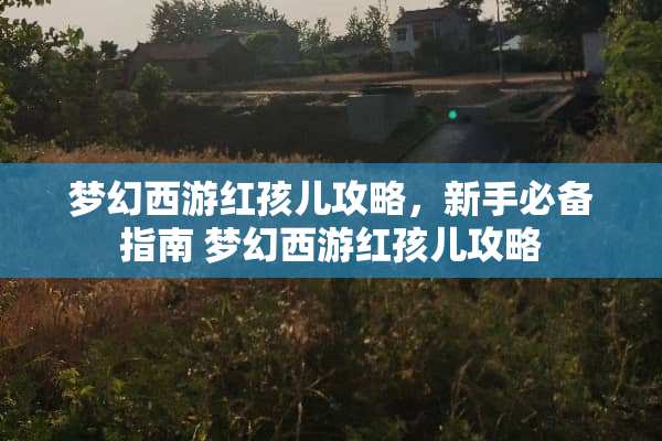 梦幻西游红孩儿攻略，新手必备指南 梦幻西游红孩儿攻略