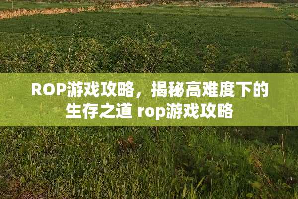ROP游戏攻略，揭秘高难度下的生存之道 rop游戏攻略