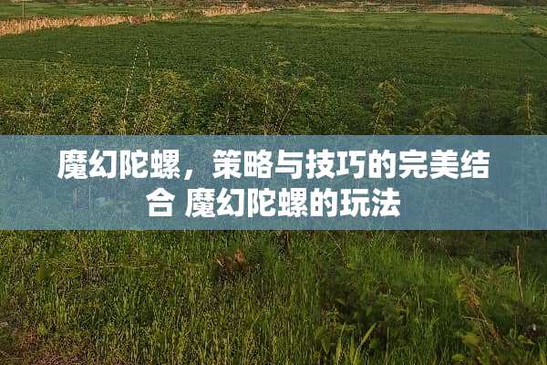 魔幻陀螺，策略与技巧的完美结合 魔幻陀螺的玩法