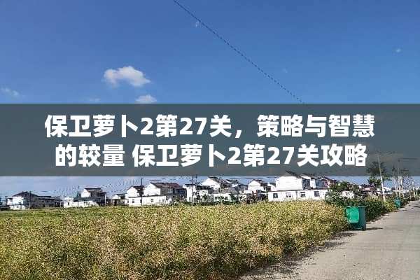 保卫萝卜2第27关，策略与智慧的较量 保卫萝卜2第27关攻略