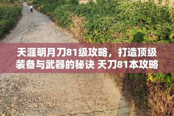 天涯明月刀81级攻略，打造**装备与**的秘诀 天刀81本攻略