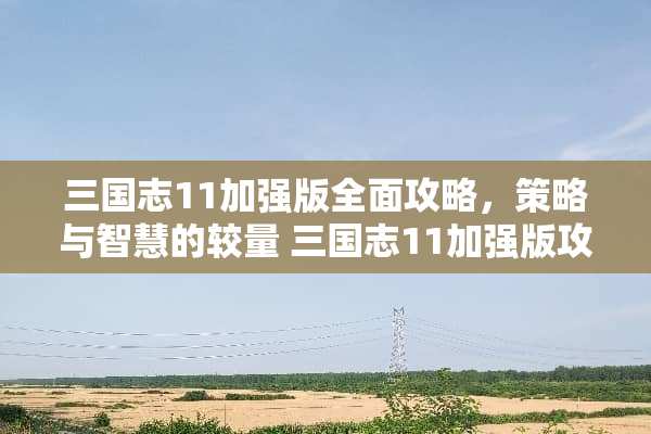 三国志11加强版全面攻略，策略与智慧的较量 三国志11加强版攻略