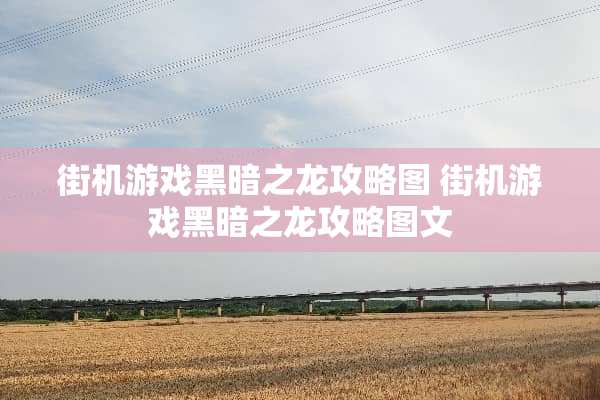 街机游戏黑暗之龙攻略图 街机游戏黑暗之龙攻略图文