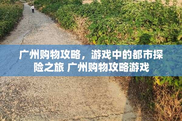 广州购物攻略，游戏中的都市探险之旅 广州购物攻略游戏