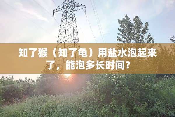 知了猴（知了龟）用盐水泡起来了，能泡多长时间？