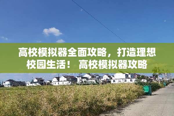 高校模拟器全面攻略，打造理想校园生活！ 高校模拟器攻略