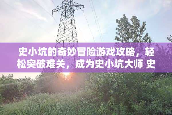 史小坑的奇妙冒险游戏攻略，轻松突破难关，成为史小坑大师 史小坑的游戏1攻略