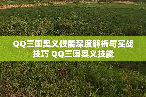 QQ三国奥义技能深度解析与实战技巧 QQ三国奥义技能