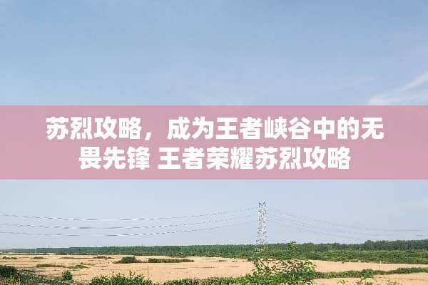 苏烈攻略，成为王者峡谷中的无畏先锋 王者荣耀苏烈攻略