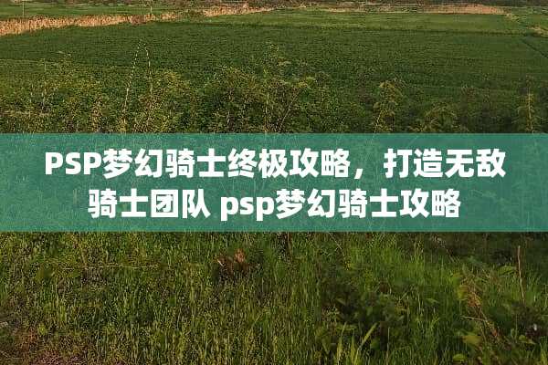 PSP梦幻骑士终极攻略，打造无敌骑士团队 psp梦幻骑士攻略