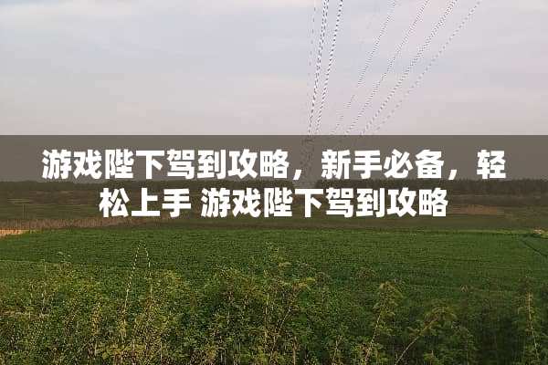 游戏陛下驾到攻略，新手必备，轻松上手 游戏陛下驾到攻略