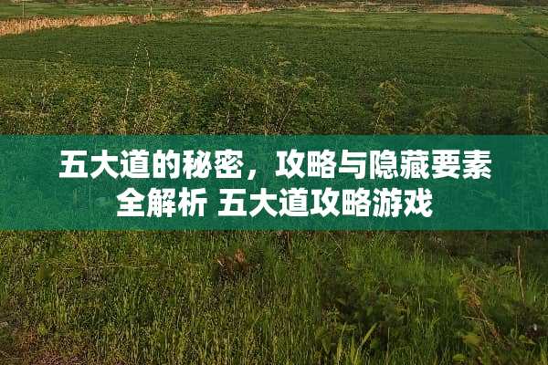 五大道的秘密，攻略与隐藏要素全解析 五大道攻略游戏