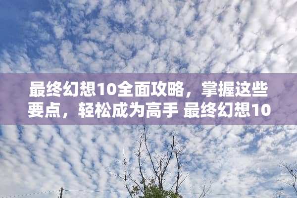 最终幻想10全面攻略，掌握这些要点，轻松成为高手 最终幻想10攻略游戏