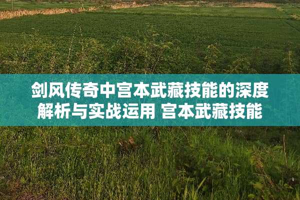 剑风传奇中宫本武藏技能的深度解析与实战运用 宫本武藏技能