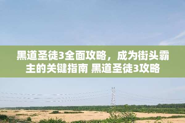 黑道圣徒3全面攻略，成为街头霸主的关键指南 黑道圣徒3攻略