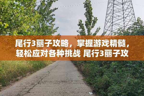 尾行3丽子攻略，掌握游戏精髓，轻松应对各种挑战 尾行3丽子攻略