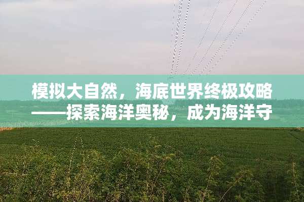 模拟大自然，海底世界终极攻略——探索海洋奥秘，成为海洋守护者 模拟大自然海底游戏攻略