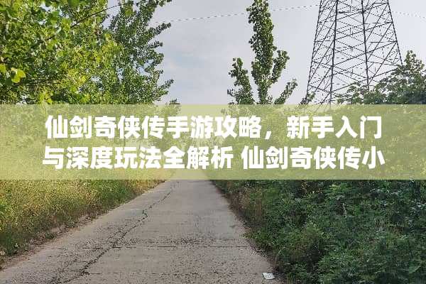 仙剑奇侠传手游攻略，新手入门与深度玩法全解析 仙剑奇侠传小游戏攻略