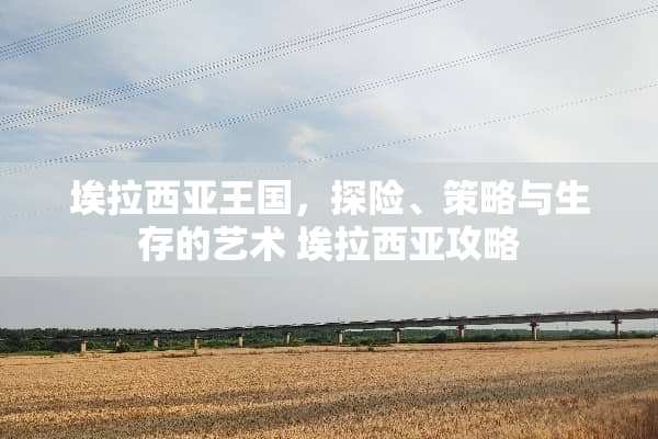 埃拉西亚王国，探险、策略与生存的艺术 埃拉西亚攻略