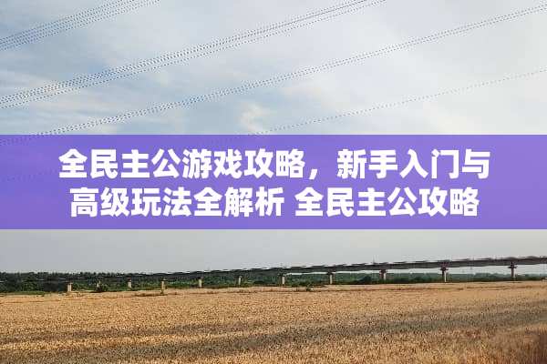 全**公游戏攻略，新手入门与高级玩法全解析 全**公攻略