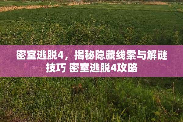 密室逃脱4，揭秘隐藏线索与解谜技巧 密室逃脱4攻略