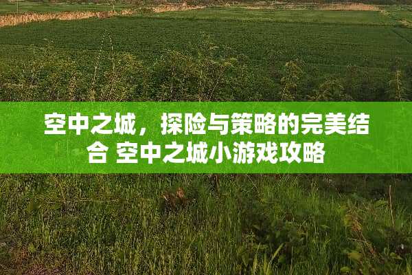 空中之城，探险与策略的完美结合 空中之城小游戏攻略