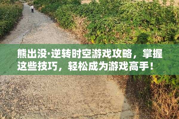 熊出没·逆转时空游戏攻略，掌握这些技巧，轻松成为游戏高手！ 熊出没z游戏攻略