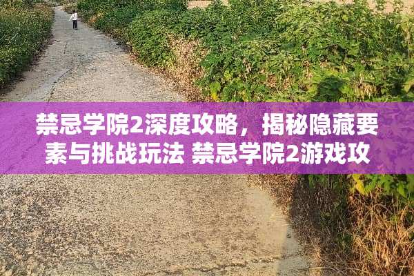 禁忌学院2深度攻略，揭秘隐藏要素与挑战玩法 禁忌学院2游戏攻略3