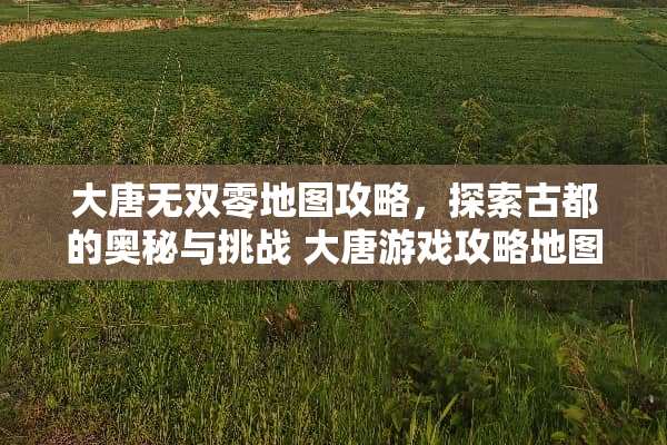 大唐无双零地图攻略，探索古都的奥秘与挑战 大唐游戏攻略地图推荐