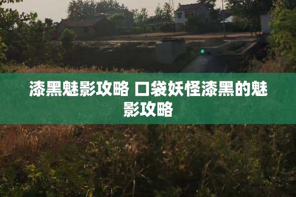 漆黑魅影攻略 口袋妖怪漆黑的魅影攻略