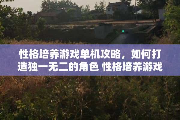 性格培养游戏单机攻略，如何打造独一无二的角色 性格培养游戏单机攻略