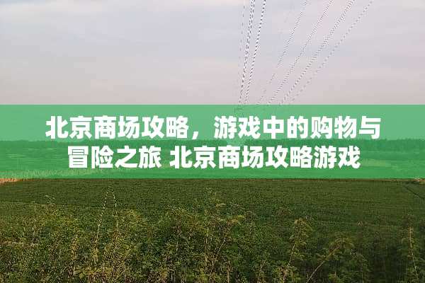 北京商场攻略，游戏中的购物与冒险之旅 北京商场攻略游戏