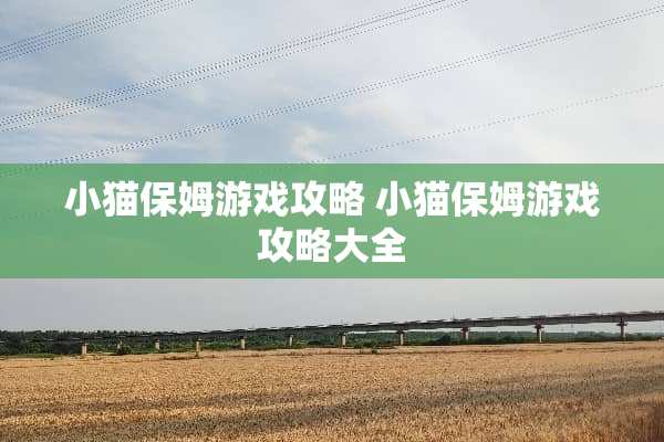 小猫保姆游戏攻略 小猫保姆游戏攻略大全