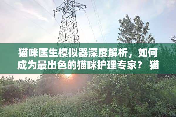 猫咪医生模拟器深度解析，如何成为最出色的猫咪护理专家？ 猫咪是医生的游戏攻略