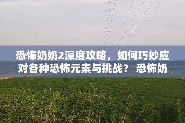 恐怖奶奶2深度攻略，如何巧妙应对各种恐怖元素与挑战？ 恐怖奶奶2攻略
