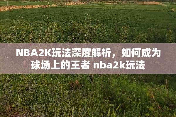 NBA2K玩法深度解析，如何成为球场上的王者 nba2k玩法