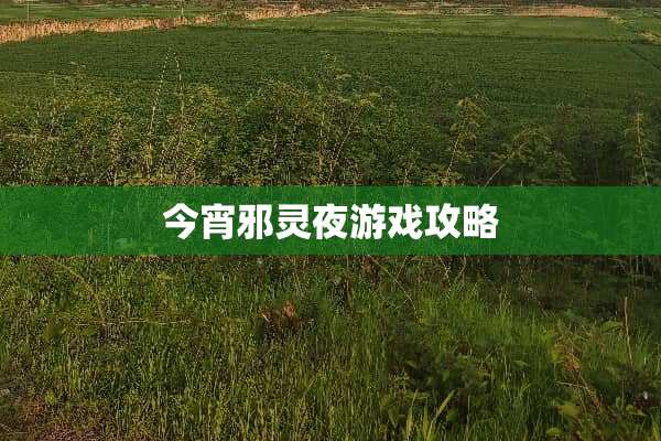 今宵邪灵夜游戏攻略