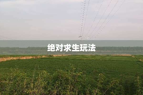 绝对求生玩法