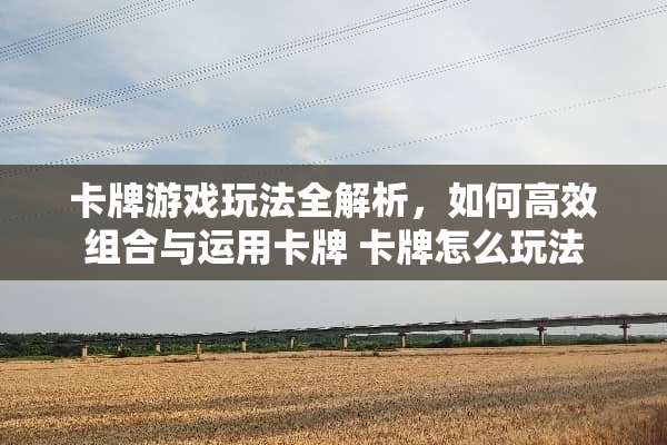 卡牌游戏玩法全解析，如何高效组合与运用卡牌 卡牌怎么玩法